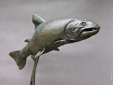 David Cooke, Salmon, Bronze,