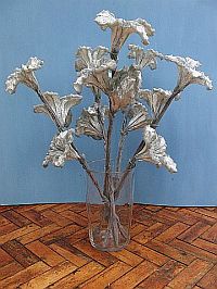 Small White Flora