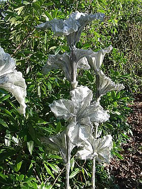 White Flora