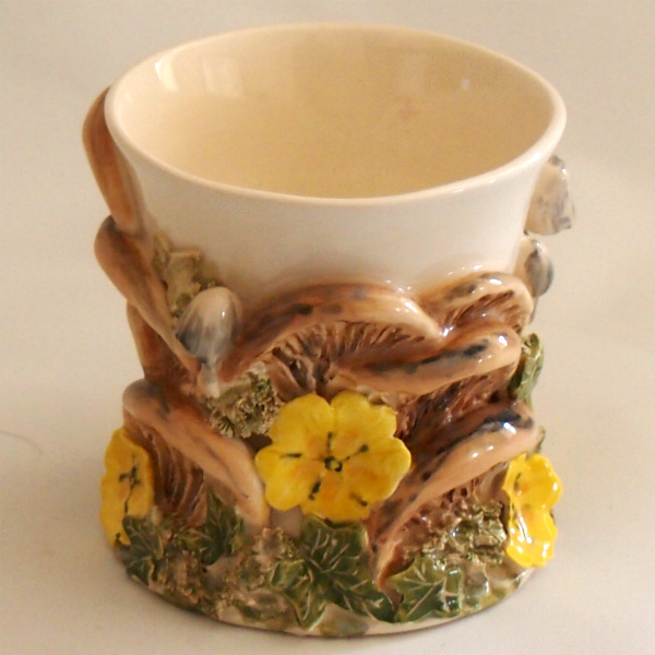 Primrose and Bracket Mushroom