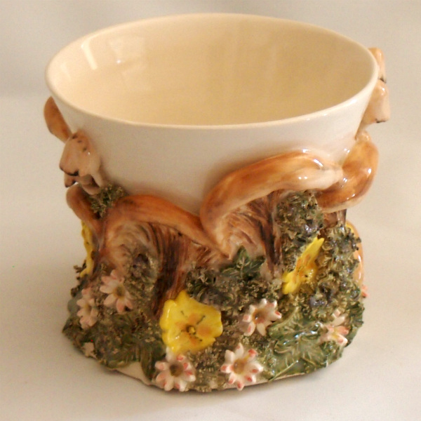 Primrose and Bracket Mushroom, Daisy