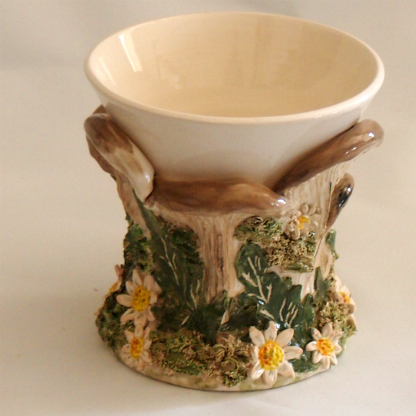 Bracket Mushroom, Daisy, Forgetmenots