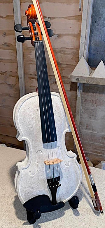 Violin