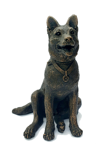 Finn - German Shepherd