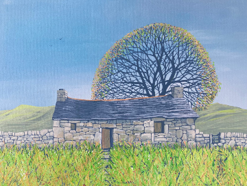 Spring on the Moor. At Last!