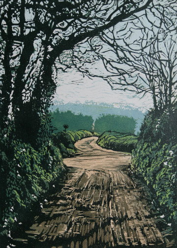 Walking Down the Lanes In Winter 