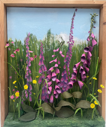 Hedgerow, East Prawl, Walking through the Village