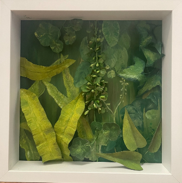 Hedgerow, Lanhydrock, Walking to the River Fowey