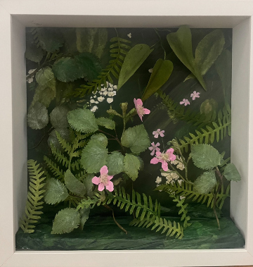 Hedgerow, Mothercombe,Walking Down to the River