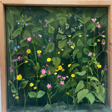 Hedgerow, Mothercombe, Walking Down to the Beach