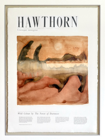 Along Devonport Leat