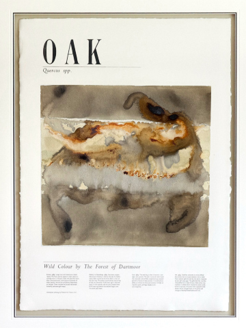 Cloud Inversion at Leedon Tor