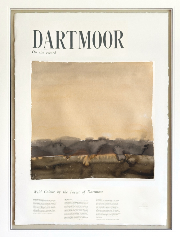 Dawn at Fox Tor Mire