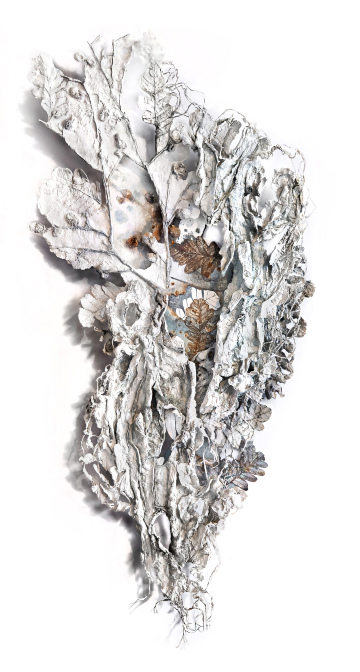 Shadows of the Ancient Oakland