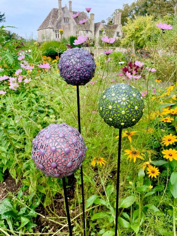 Alliums