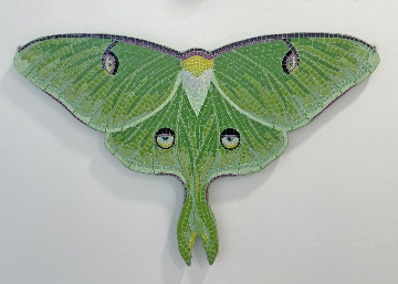 Luna Moth 