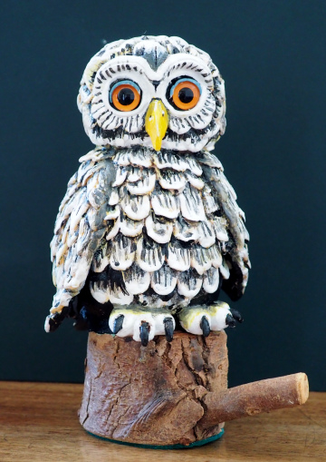 Little Owl