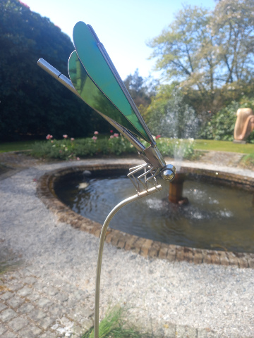 Green Damselfly on Reed