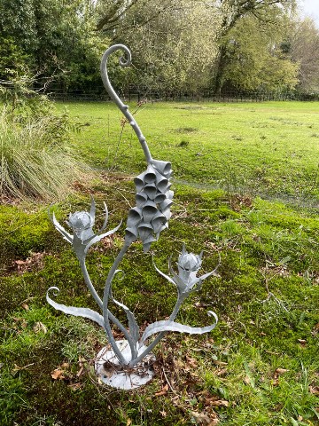 Foxglove and Thistles