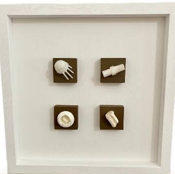 Tomorrows Fossils II