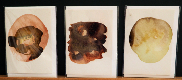 Greeting Cards - Wild Colour