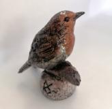 Robin