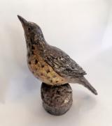 Thrush
