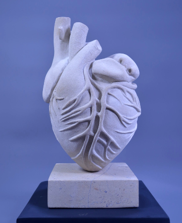 Heart 