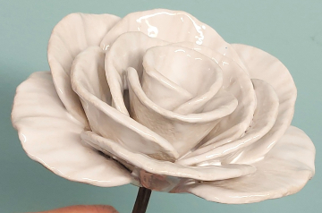 Royal Rose