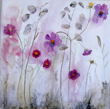 Honesty and Pink Cosmos
