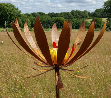 Rustry Red Protea 