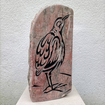 Bittern
