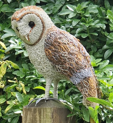 Barn Owl on Post 