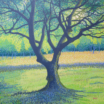 Evening Light in the Field 