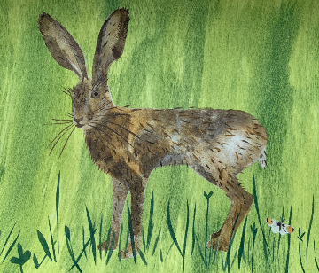 Grassland Visitor 