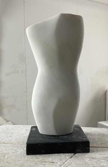 Torso