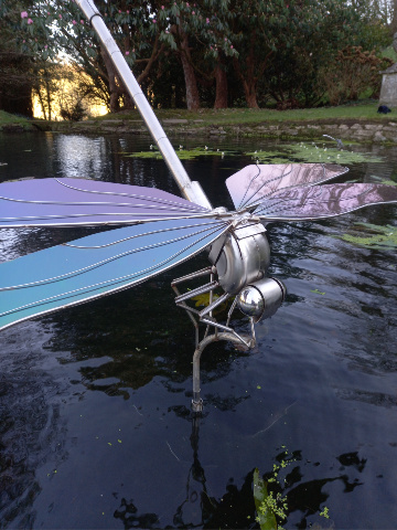 Giant Iridescent Dragonfly