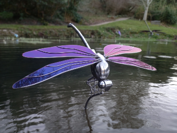 Large Iridescent Dragonfly 
