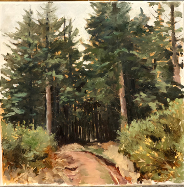 Into the Pines 