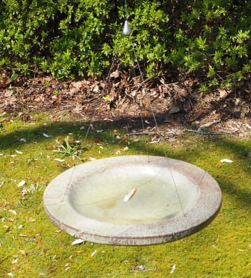 Hanging Bird Bath