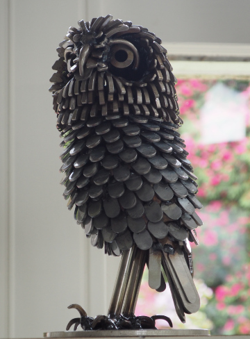 Owl