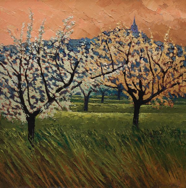 Provence - Cherry Orchard Below Bonnieux