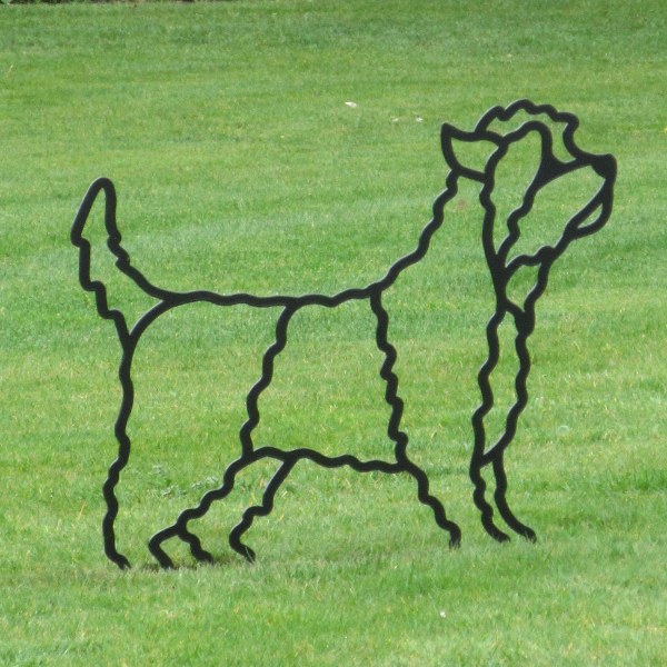 Terrier