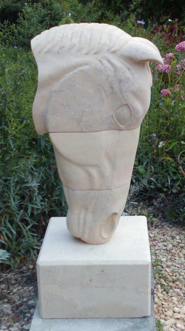 Horses Head in Three Blocks