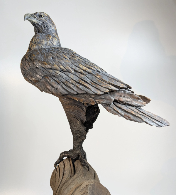 Golden Eagle