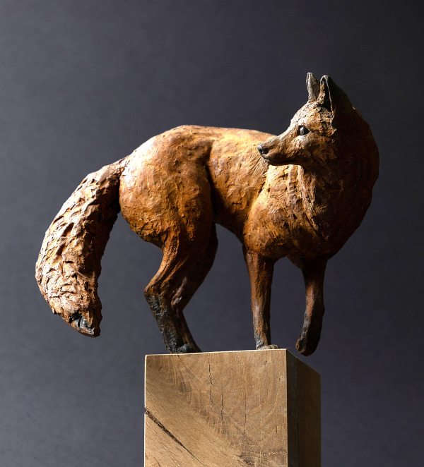 Young Fox