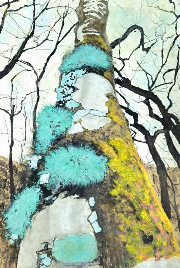 Lobaria