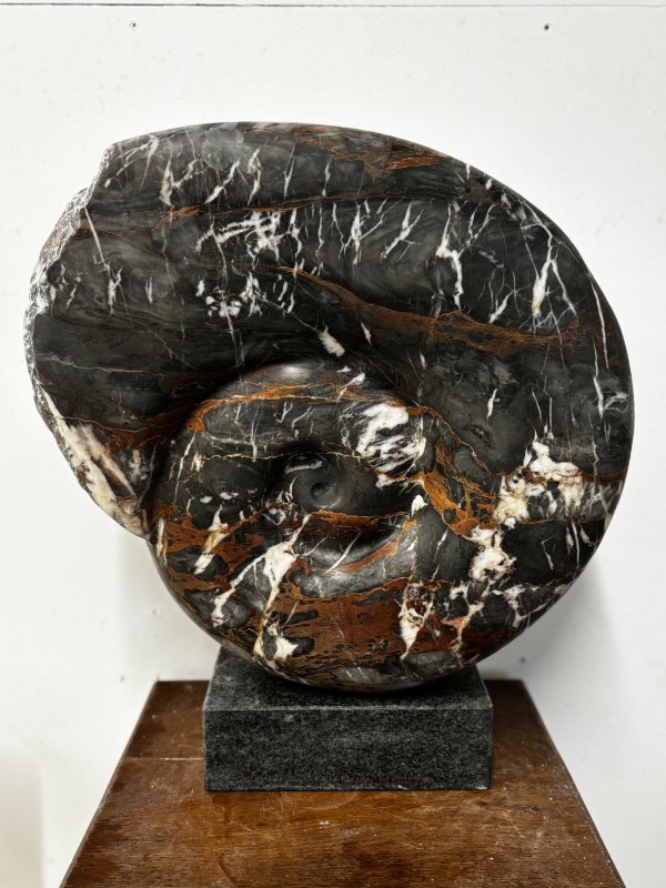 Fossil