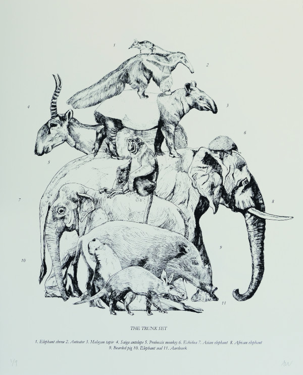 The Trunk Set 
