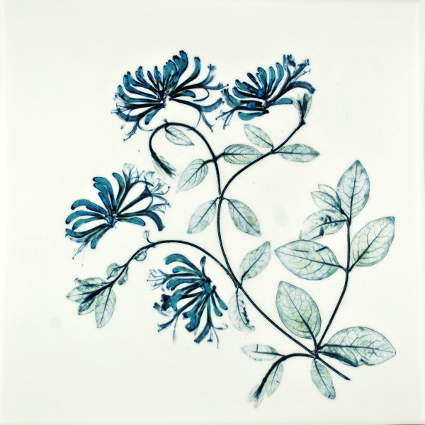 Honeysuckle 